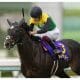 JRA 天皇賞・春(G1)が一人のサッカー少年の運命を変えた…菱田裕二騎手がテーオーロイヤルとともに狙う恩返し