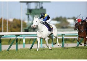 JRAヴィクトリアマイルに怪情報。ソダシもデアリングタクトも消し？ 絶対に買うべき伝説の2070万馬券18番人気ミナレット級の穴馬！