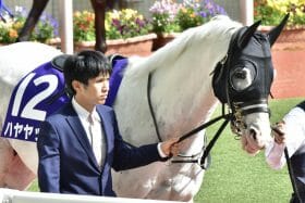 「白毛一族」の夢は終わらない、函館記念連覇に挑むハヤヤッコ