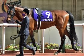 【アルゼンチン共和国杯（G2）展望】ジャパンC、有馬記念を見据える好メンバーが秋の名物ハンデ重賞に集結。堅実ヒートオンビートが重賞2勝目へ