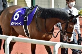 姉の被害直撃に「影響が大きかった」と騎手もお手上げ…弟はまさかの競走中止、複数が不運に巻き込まれた天皇賞・春（G1）の大惨事
