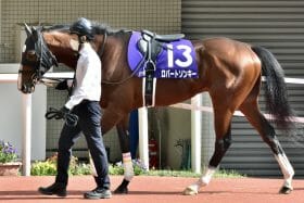 日経新春杯（G2）ロバートソンキー「期待ハズレ」も見限りは早計!? 崖っぷち騎手の騎乗に賛否も…最大のチャンスで浮上した重賞勝ちの課題