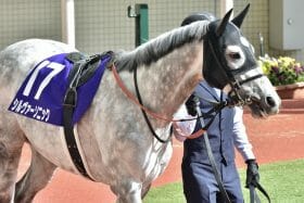 「完全燃焼へ」シルヴァーソニックの逆襲!? 昨年はタイトルホルダーから約2馬身差の“2位入線”