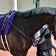 JRA【宝塚記念(G1)予想】タイトルホルダー×エフフォーリアは両方消し! G1馬なのに人気がない「アノ馬」を狙い撃ちで高配当いただき!