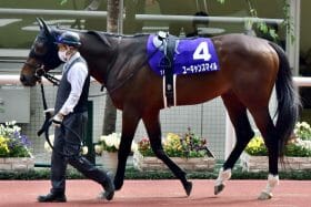 2年連続でワンツーゴール中！ 今年も新潟記念（G3）の法則に揺るぎなし？