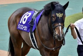 【富士S（G2）展望】NHKマイルC覇者ダノンスコーピオンが始動、セリフォスと「3歳馬対決」へ！