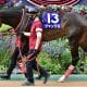 【紫苑S(G2)予想】ヒップホップソウルは不安材料ありで押さえまで!馬場悪化も見込んでパワーのある穴馬をチョイス