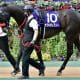 鮫島克駿「本当に強かった」横山武史「勝った馬が強過ぎ」の大絶賛!快速牝馬が圧巻デビュー勝ち…兄はG1で「153万馬券」演出