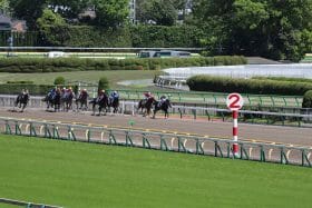【JBC予想】クラシック、スプリント、レディスクラシック、2歳優駿で買うべきオススメ馬を特命記者がリポート
