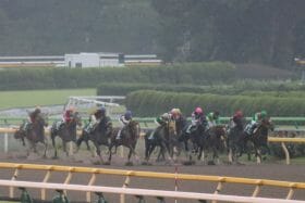 【引退】ノンコノユメは「キタサンブラック」と同世代。ドゥラメンテ、レッツゴードンキ…個性派集団の中、最後まで輝きを失わなかった努力家【特別寄稿】