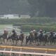 【2023年海外G1・3歳馬編】凱旋門賞登録オッズメンバーからみる今年の海外G1の面白さとは?