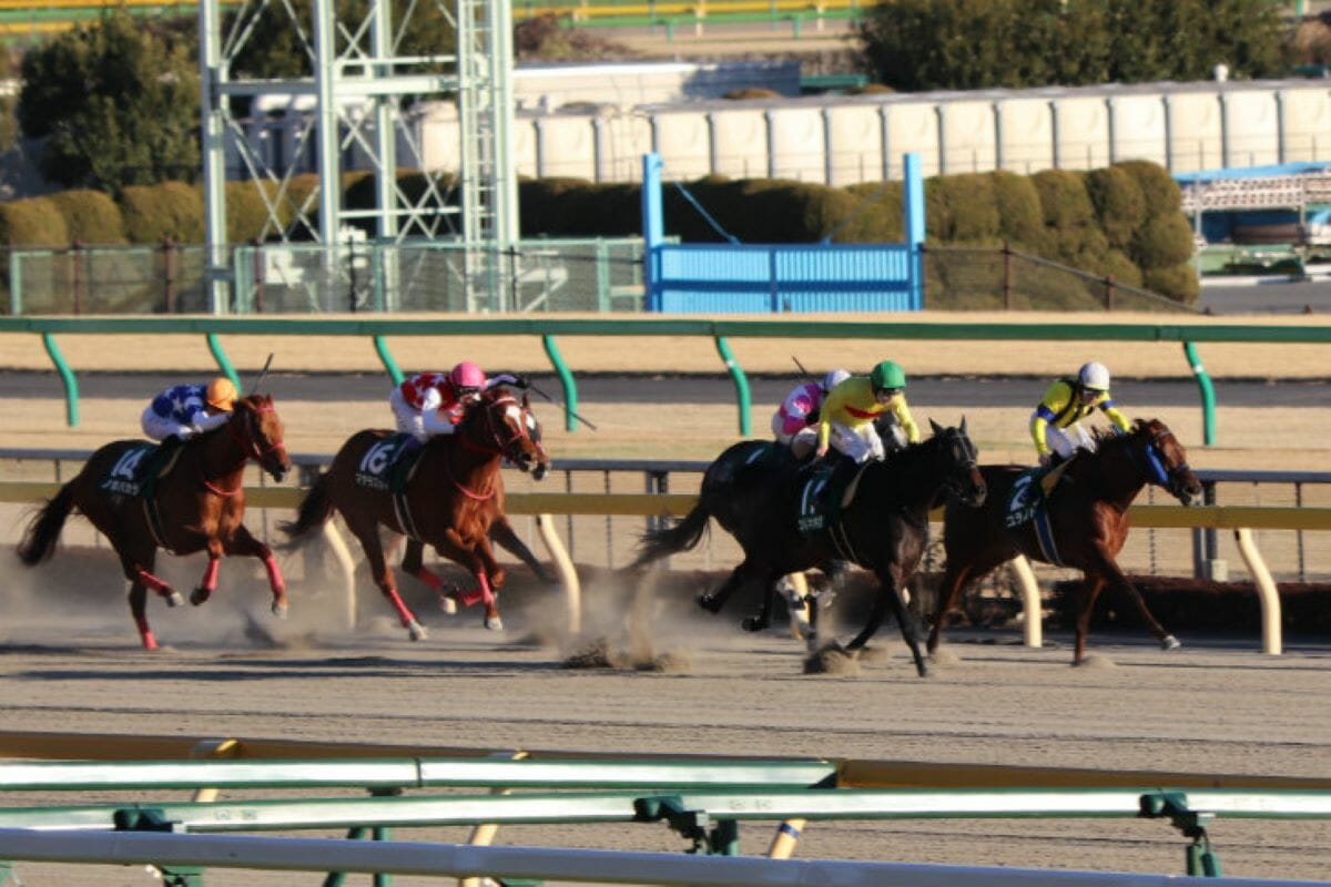 【名古屋グランプリ（G2）展望】「20連勝」のJRA勢が圧倒的有利、注目の3歳馬がここでも主役かの画像1