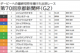 JRA【京都新聞杯（G2）予想】大本命ブラックブロッサムは軽視！ 5億円馬から走り頃の人気薄をマークして好配当にありつく