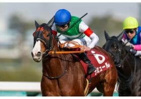 JRAオークスでファンを悩ませる川田将雅とアートハウス、ルメールとスターズオンアースの乗り替わり。そして盲点となる意外な穴馬！