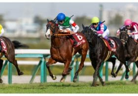 JRAオークス。武豊ウォーターナビレラに400mの壁？桜花賞馬スターズオンアース、川田アートハウス、横山武史ナミュールを上回る意外な本命穴馬！