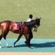 JRA「生まれた時代が悪かった」獲得賞金“3億円”の差に啞然…日本ダービー(G1)史上「最も運の悪い馬」は稀代のシルバーコレクター