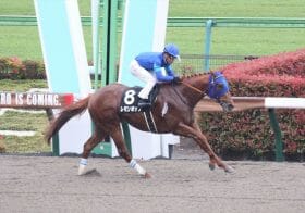 JRA川田将雅、戸崎圭太「距離長い」も騙されたファンは少数!? 不運な結果に泣いた騎手、笑った騎手…フェブラリーS（G1）の天国と地獄