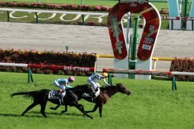 名伯楽に奇妙な縁あり？ 史上初のダービー連覇トレーナーを後押しする要素とは