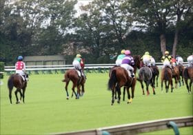 JRA大波乱の200万馬券……「荒れる未勝利戦」こそ浮き彫りになる本当の実力、プロが示した大物馬券ゲット術で春G1も大楽勝？