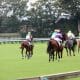 JRA「当たり年」ハービンジャー産駒が期待外れに終わったクラシック…種牡馬としての命運握る「最後の希望」は2歳世代?
