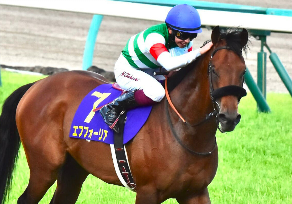 JRA「愚弟認定」の超良血馬が突如の覚醒。D.レーン“接待”厩舎が魅せた