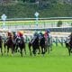 JRA「23年で1番良い馬」オグリキャップになれなかった日本ダービー(G1)1番人気。「上手く乗れなかった」強過ぎたからこそ動けなかったM.デムーロの慢心と後悔