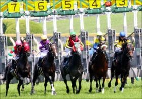 JRAアイビスSDに隠された謎解き、激走穴馬は前走大敗馬！