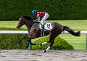 JRAレパードS、急成長の未来のダート王と関西勝負騎手で高配当狙い！