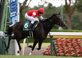 JRA関屋記念、2か月遊んで暮らす!?イルーシヴパンサーの弱点と逆転候補穴馬