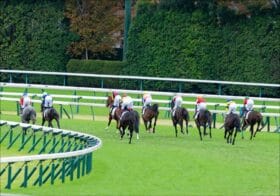 83％馬券になる「前年2着馬」が10番人気で14万馬券ゲット!?