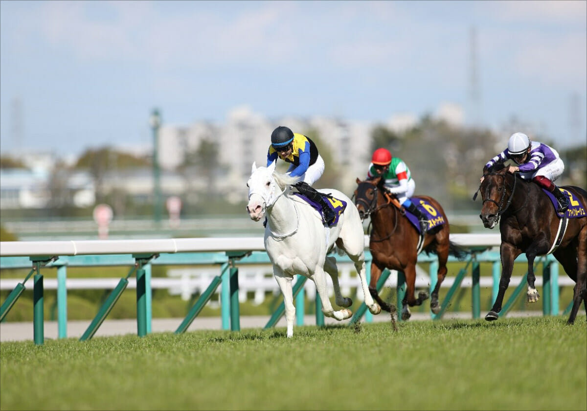 札幌記念「単勝1.6倍」大本命まさかの敗戦も、ノーザンファームの