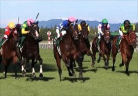 JRA新潟記念、名馬ブラヴァスと大魔神の絆。過去10年万馬券決着、今年の展望