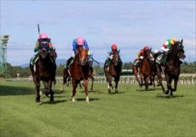 JRA新潟記念のブラストワンピース級素質馬!? 5つのNo.1評価をまとめてBOX予想