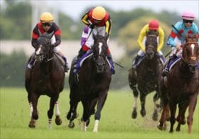 JRAセントウルS、海外遠征前にこのレースを選んだソングライン陣営の思惑！