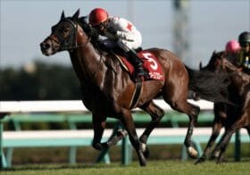 JRAセントライト記念、昨年惨敗タイトルホルダーの裏事情を暴露！今年の激走穴馬を検証