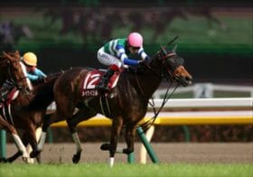 JRAセントウルS、ソングラインもメイケイエールも軽視。意外な本命からの相手3頭