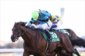 JRAセントライト記念。繰り返される“まさか”を回避、危険な人気馬と買うべき穴馬!