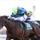 【セントライト記念(G2)予想】台風接近でレースも嵐の予感!アスクビクターモアは押さえまで止むなし、重馬場適性の高い馬の一発に期待