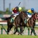 スプリンターズS(G1)「引退レース優勝おめでとう」から呆然…JRA関係者も予期していなかった「まさか」のラストラン