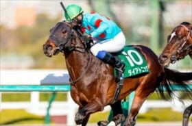 JRAスプリンターズSの“5つのテーマ！”ナランフレグ、シュネルマイスター、メイケイエール陣営の本音を見極める方法とは。