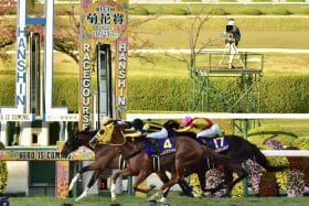 国内外で「偉業」連発!ディープインパクトが父サンデーサイレンスを超えた週末