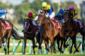 マカヒキの奇跡再び! JRA京都大賞典は、スプリンターズSもぶっ飛ぶ癖のある面々を検証すると“大波乱”に!?