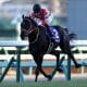 秋華賞（G1）オークス4着馬が無念の除外…「妹分」がリベンジ誓う