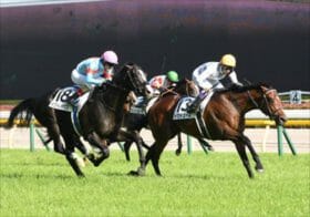 JRA菊花賞は“ガイアフォース、ジャスティンパレスではない関西馬”が穴をあける！衝撃の情報を実名公開