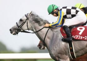 JRA菊花賞は関西馬の上位独占で万馬券決着が濃厚か!? とっておき激走関西馬情報！
