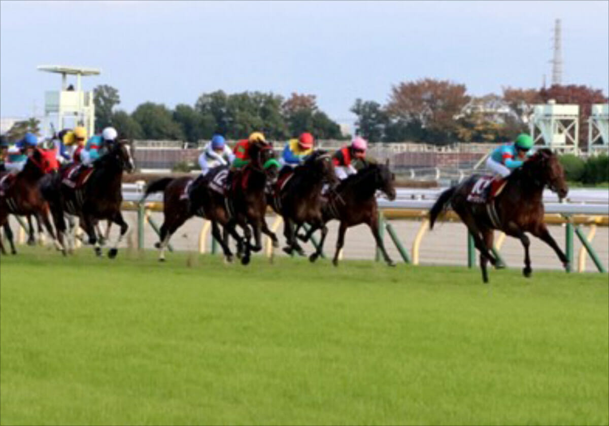 運命を変えた0 1秒差 16年jraアルゼンチン共和国杯シュヴァルグランと大魔神の勝利 Gj 運命を変えた0 1秒差 16年jraアルゼンチン共和国杯シュヴァルグランと大魔神の勝利 Gj