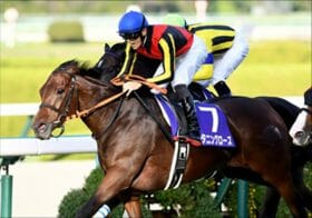 4000万円イクイノックスの下剋上に続くか？JRAエリザベス女王杯もマル秘クラブ馬の勝負情報！