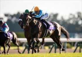 JRAエリザベス女王杯、無敗の三冠牝馬デアリングタクトは買いか消しか、スタニングローズの世代交代ある!?