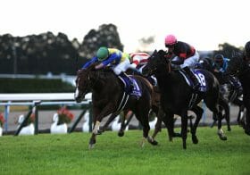 アグネスデジタルが制した22年前と共通点!? 混戦模様のマイルCS（G1）は大荒れの予感