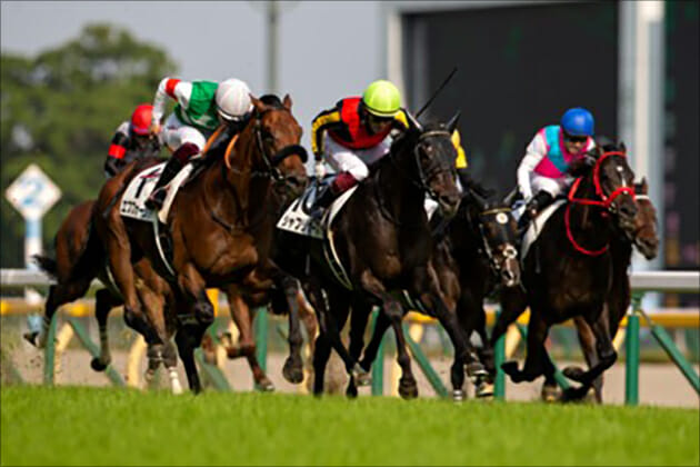 JRAジャパンCは社台グループ馬券で決着!? 関係者にとってこの馬が勝ってもお釣りがくるシャフリヤールではない、意外な狙い馬!の画像1